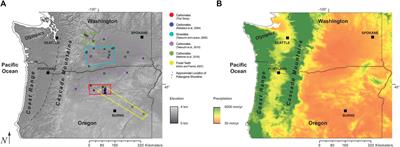 Molecules to Mountains: A Multi-Proxy Investigation Into Ancient Climate and Topography of the Pacific Northwest, USA